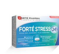 Forté Stress 24H Comprimés Bicouche B/15 - Forte Pharma