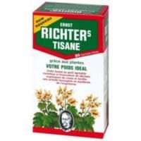 Ernst Richter'S Tisane Poids Idéal 20 Sachets - Dr Theiss France