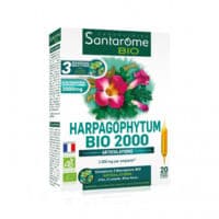 Santarome Bio Harpagophytum 2000 Solution Buvable 20 Ampoules/10Ml