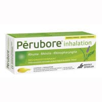 Perubore Caps Inhalation Par Vapeur Inhalation Plq/15Romarin Essence ; Thymol ; Lavande Essence ; Thym Essence - Plaquette(S) Thermoformée(S) Pvc-Aluminium de 15 Capsule(S)