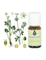 Huile Essentielle Thym Bornéol - le Comptoir Aroma