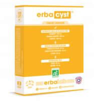 Eebacaps Erbacyst Gélules B/10 - Nutrisanté