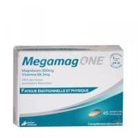 Megamag One