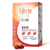 Lero Base Reduction de la Fatigue - Laboratoire Léro