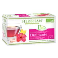 Herbesan Infusion Bio Tisane Drainante 20 Sachets