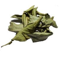 Adp Oranger Bigarade Feuille Herboristerie Vrac 50G - Adp Laboratoire