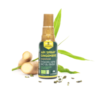 Lehning Api Spray Gigembre - Digestion