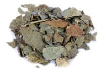 Adp Cassis Feuilles Entiere Herboristerie Vrac 50 G - Adp Laboratoire