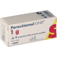 Paracetamol Gnr 1 G, Comprimé Effervescent Sécableparacétamol - Tube(S) Polypropylène de 8 Comprimé(S)