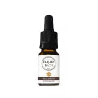 Les Fleurs de Bach Eglantine Elixir N°37 Fl Cpte-Gttes/10Ml - Elixirs & Co