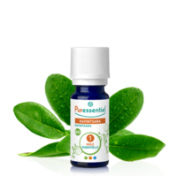 Puressentiel Huiles Essentielles - Hebbd Ravintsara Bio* - 30 Ml