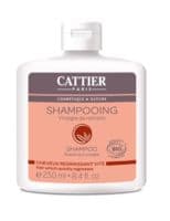 Cattier Shampooing Cheveux Gras 250Ml