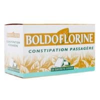 Boldoflorine, Mélange de Plantes pour Tisane en Sachet-Dose B/24 - 24 Sachet(S) Papier de 1,63 G