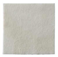 Biatain Alginat Pansement Absorbant 10X10Cm B/10 - Coloplast