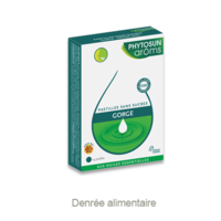Phytosun Arôms Pastilles Sans Sucre Gorge Arôme Miel X 24