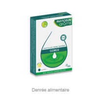 Phytosun Arôms Pastilles Sans Sucre Gorge Arôme Citron X 24