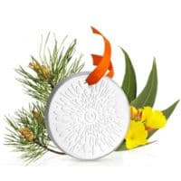 Puressentiel Diffusion Diffuseur Céramique Galet Médaillon pour Huiles Essentielles