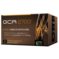 Gca 2700 Comprimés Articulations B/60 - Santé Verte