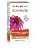 Arkogélules Echinacée Gélules B/45 - Arkopharma