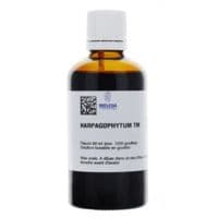 Harpagophytum Weleda Tm Dilution Flacon/60Ml