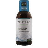 Santé Verte Silicium Solution Buvable Fl/500Ml