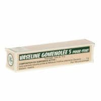Vaseline Gomenolee 5 pour Cent, Pommadegoménol - 1 Tube(S) Aluminium de 15 G