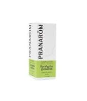 Huile Essentielle Eucalyptus Globuleux Pranarom 10Ml - Pranarôm France