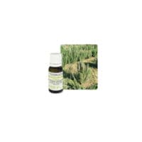 Huile Essentielle Romarin Cineol Pranarom 10Ml - Pranarôm France