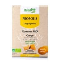 Herbalgem Propolis Large Spectre Gomme Bio B/24