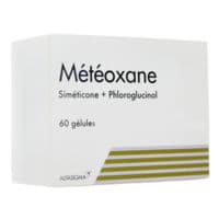 Meteoxane Gél B/60Siméticone + Phloroglucinol - Plaquette(S) Thermoformée(S) Pvc-Aluminium de 60 Gélule(S)