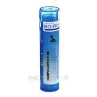 Harpagophytum 9Ch Tube - Tube 4 G