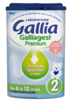Gallia Galliagest 2 Lait en Poudre B/800G