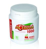 Acerola 1000 60Cp - Phyto-Terra