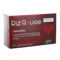 Sante Verte Levure de Riz Rouge X60 - Santé Verte