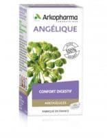 Arkogélules Angélique Gélules Fl/45 - Arkopharma