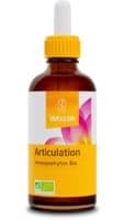 Weleda Articulation Harpagophytum Bio 60 Ml