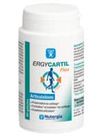 Ergycartyl Flex Gélules Pot/90 - Nutergia