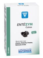 Entezym Cube à Mâcher Équilibre Flore Intestinale B/12 - Nutergia