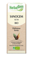 Herbalgem Sanogem Solution Buvable Bio Spray/15Ml