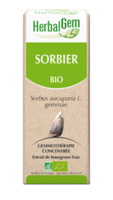 Herbalgem Sorbier Macérat Bio 30Ml