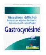 Gastrocynesine Cpr B/60 - Boiron