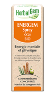Herbalgem Energem Solution Buvable Bio Spray/15Ml