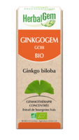 Ginkgogem Solution Buvable Bio 30Ml - Herbalgem