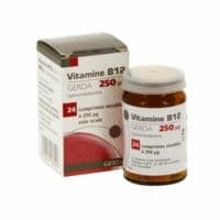 Vitamine B12 Gerda 250 Microgrammes, Comprimé Sécablevitamine B12 - Cyanocobalamine - 1 Flacon(S) en Verre Brun de 24 Comprimé(S)