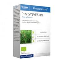 Phytostandard Pin Sylvestre Bio 20 Gélules - Pileje