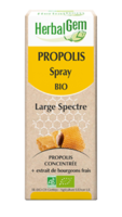 Herbalgem Propolis Large Spectre Solution Buvable Bio Spray/15Ml