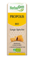 Herbalgem Propolis Large Spectre Solution Buvable Bio Fl Cpte-Gttes/15Ml