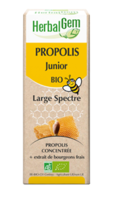 Herbalgem Propolis Large Spectre Solution Buvable Bio Junior Fl Cpte-Gttes/15Ml