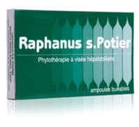 Raphanus S.Potier Biologique, Bt 12 - Db Pharma