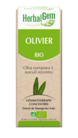 Herbalgem Olivier Macérat Bio 30Ml